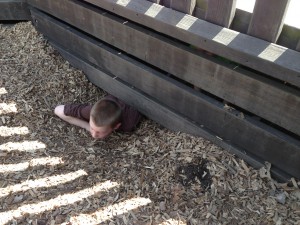 IMG_0471