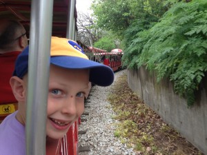 IMG_0647