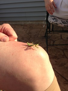 Our little friend