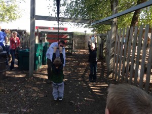 IMG_2335
