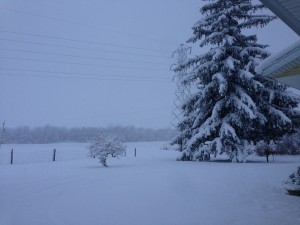 IMG_2756