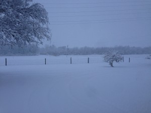 IMG_2759