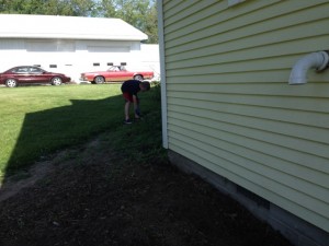 And my gardeners