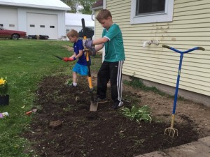 My little gardeners planting my lilies for me.