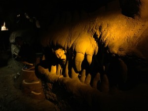 IMG_7998