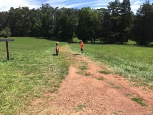 IMG_8840