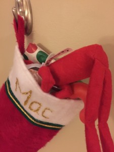 Trying to steal Mac's presents.