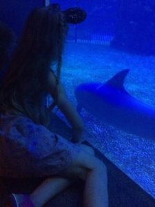 IMG_3013